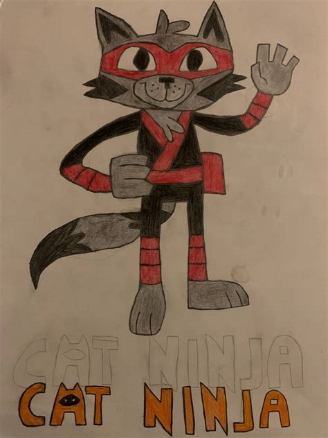 Cat Ninja Drawing by Dragonwolf-art on DeviantArt