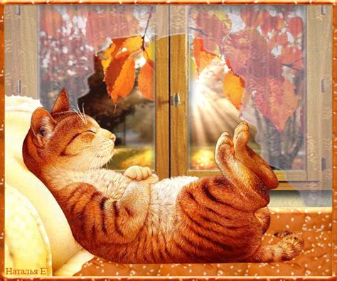 Картинки кошки скачать бесплатно 2