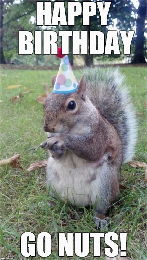 Squirrel Happy Birthday Meme Super Birthday Squirrel Memes Imgflip ...