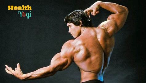 Arnold Schwarzenegger Diet Plan | Eat Like A Arnold - Health Yogi