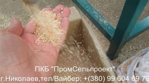 Крупорушка, Крупоцех для переработки кукурузы УКР-2 Фермер 5м-3 - YouTube