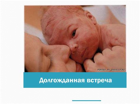 Размножение человека. 8 класс. 1 - презентация онлайн