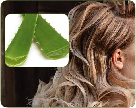 How to Make Aloe Vera Gel for Hair Growth? [Recipes]