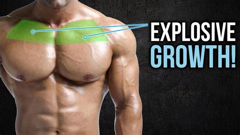 killer upper chest exercises    havent