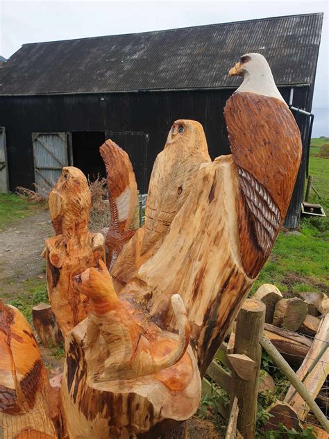 Wooden Carvings Of Animals Aberystwyth. – CHAINSAW CARVINGS OF ANIMALS ...