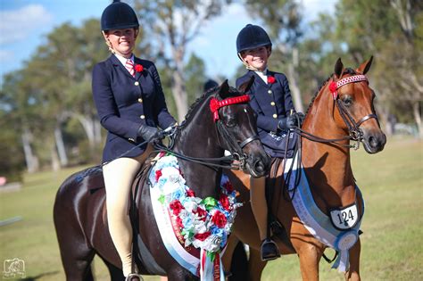 | Show Horse Queensland