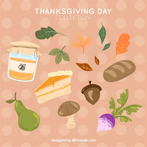 Free Vector | Thanksgiving natural elements set