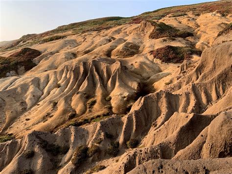 Sand Land Desert - Free photo on Pixabay - Pixabay