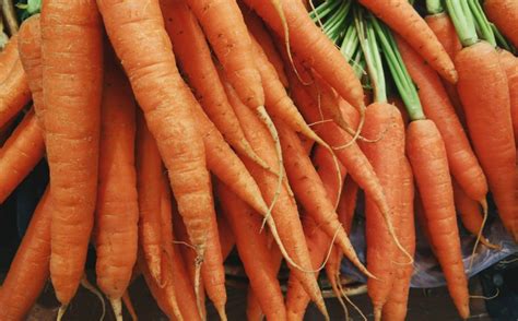 Landwirtschaft - Erzeugerpreise erneut rückläufig – Lebensmittelpraxis.de
