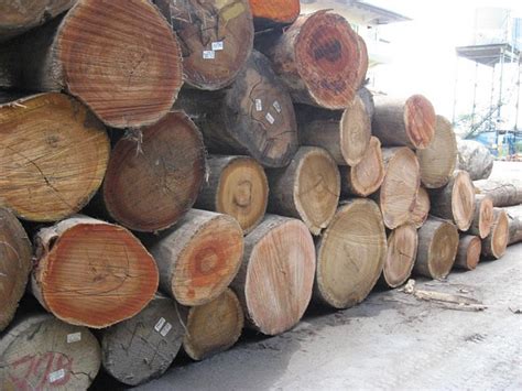 wood based jaya tiasa holdings berhad