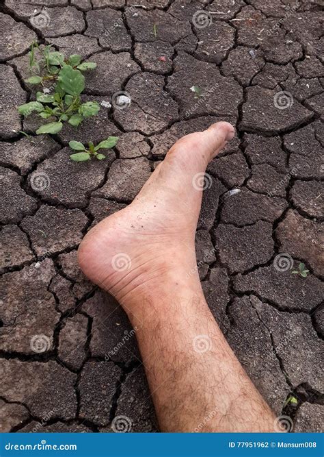 Foot on crack soil stock photo. Image of people, foot - 77951962