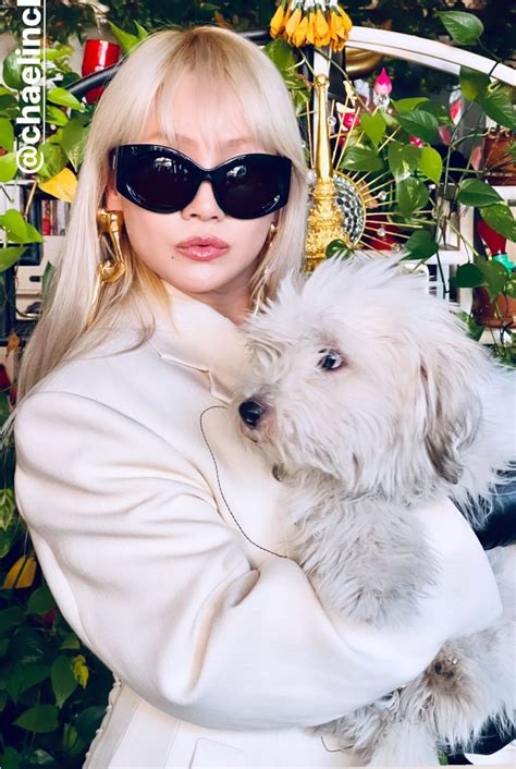 clnechaelin cl instagram estilo kpop