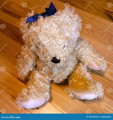 Teddy bear stock photo. Image of games, bear, comfort - 300190732