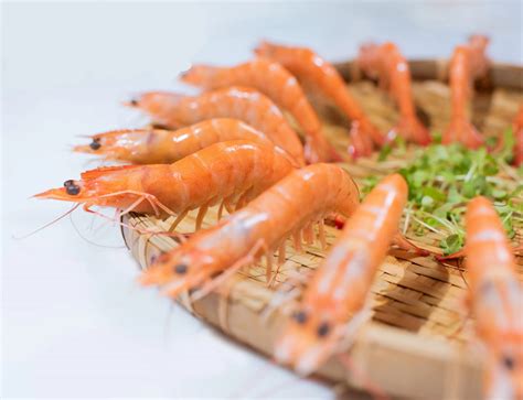 vannamei shrimp hoso cooked iqf  quality  vietnam  product