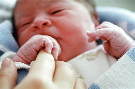 newborn baby photograph  mauro fermarielloscience photo library