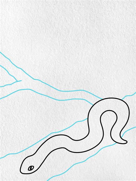 how to draw amazon rainforest