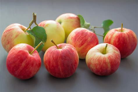 Apple Fruit Photos, Download The BEST Free Apple Fruit Stock Photos
