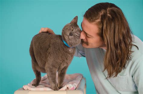 Automated feeders will soon be available for all petsmart cats 33