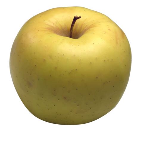 apple clipart transparent background   apple clipart