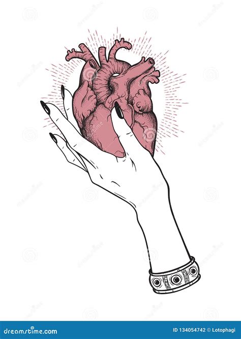 Human Heart in Graceful Female Hand Isolated. Sticker, Print or ...