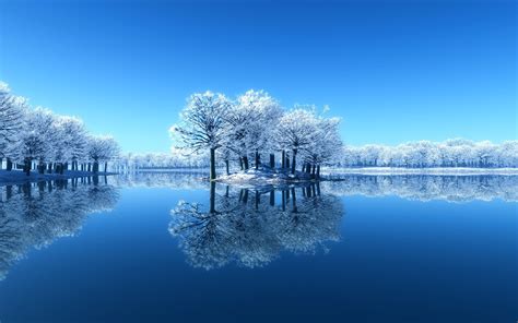 Snow in Winter - snow Photo (36241668) - Fanpop