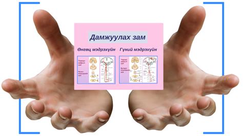 Ерөнхий мэдрэхүйн өөрчлөлт by Ундка Энх-Ундрал on Prezi