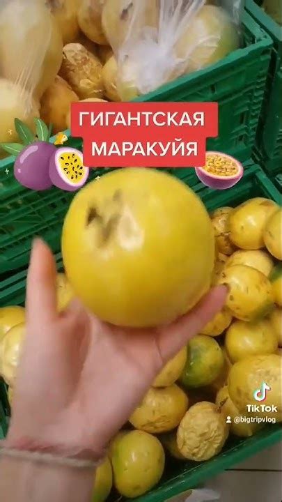 ГИГАНТСКАЯ МАРАКУЙЯ - YouTube