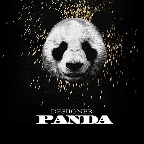 Desiigner – Panda Lyrics | Genius Lyrics