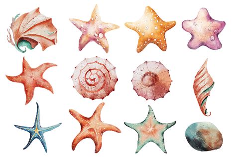 Seashells Watercolor Illustrations on Yellow Images Creative Store - 126580