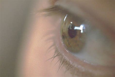 how to apply eye drops 4