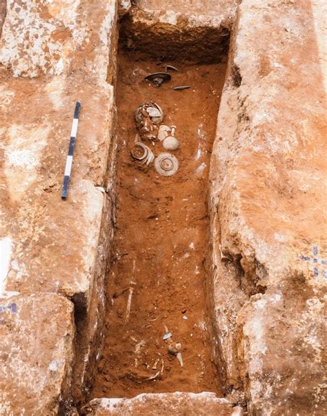 'Puzzling' bronze discs adorned with lion heads discovered in Roman-era ...