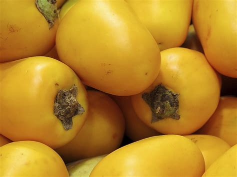 28 Facts About Cocona - Facts.net