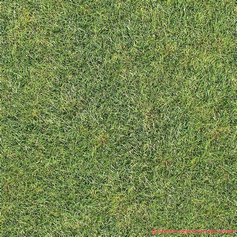 1926 Grass Textures Sketchup Model Free Download