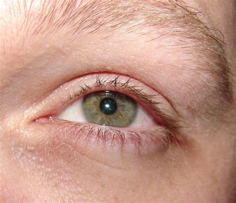 Green eyes, Greys anatomy, Eyes