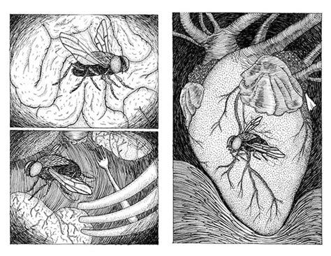 Mosquita Muerta II / Fanzine on Behance