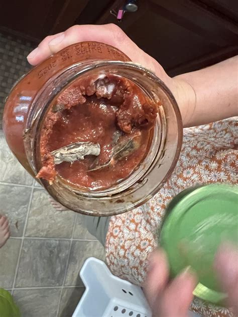 Surprise in my Priano : r/aldi