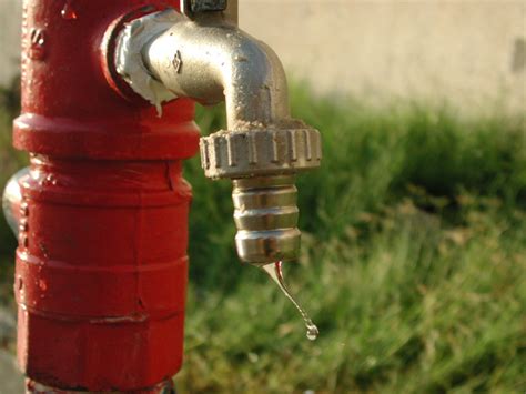 dripping  photo  freeimages