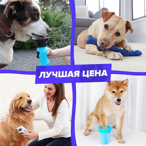 Переносная поилка + Зубная щетка для собак + Стакан для мытья лап ...