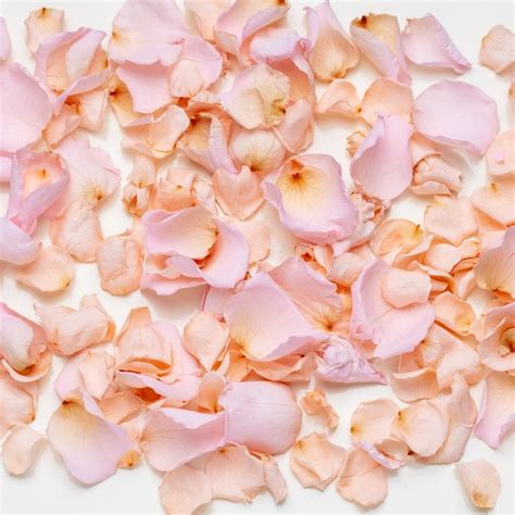 Flower Petal Confetti - Etsy