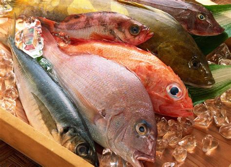 jenis ikan laut konsumsi  gambarnya perumperindocoid