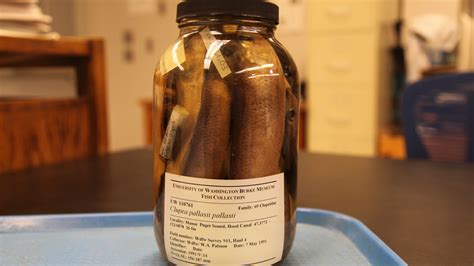 Global Warming May Make You Miss These Parasites When They’re Gone