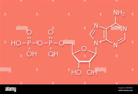 Adenosine Diphosphate Structure