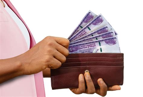 Loans - Elsabi Micro Finance Institution S.c.