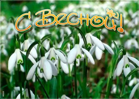 Открытка красивой весны | Открытки Онлайн
