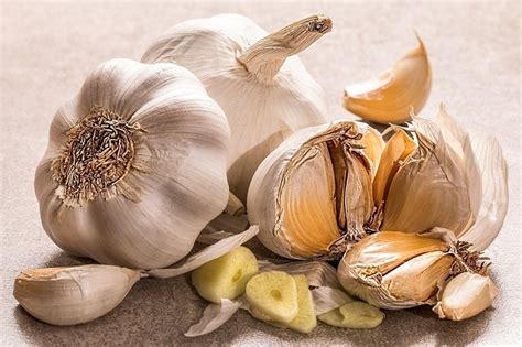 25 Garlic Varieties (Garlic Varieties That You Should Know) - ChowTray