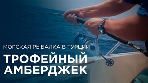 Морская рыбалка в Турции, Аланья. Трофейный амберджек - YouTube
