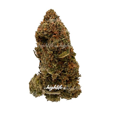 Same Day Weed Delivery in Ottawa - Dark Star (INDICA)