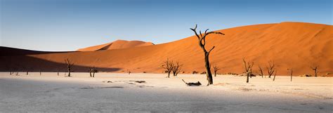 I made a panorama! Deadvlei, Namibia [OC][9652x3295] : r/EarthPorn
