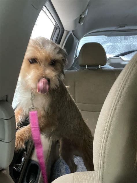 Thurston County scanner