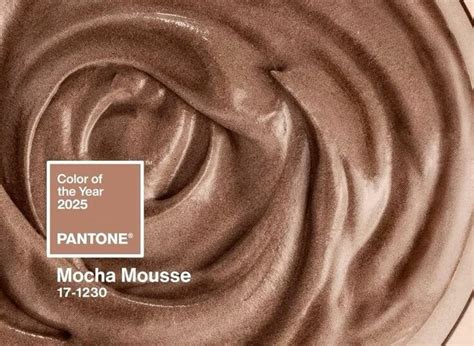 pantones color   year mocha mousse julie  realty